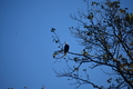 album/10062026/DSC_0112.JPG