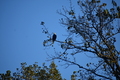 album/10062026/DSC_0118.JPG