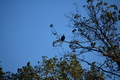 album/10062026/DSC_0126.JPG
