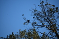 album/10062026/DSC_0127.JPG