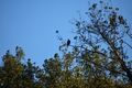 album/10062026/DSC_0134.JPG