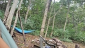 album/10072025/IMG20251007162916.jpg