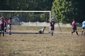 album/10082025/DSC_0045.JPG
