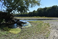 album/10092025/DSC_0128.JPG