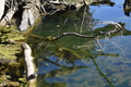 album/10092025/DSC_0134.JPG