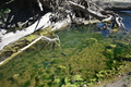 album/10092025/DSC_0137.JPG