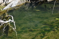 album/10092025/DSC_0139.JPG