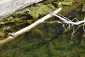album/10092025/DSC_0140.JPG