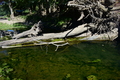 album/10092025/DSC_0142.JPG