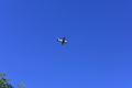 album/10092025/DSC_0148.JPG
