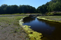 album/10092025/DSC_0156.JPG