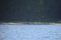 album/10092025/DSC_0165.JPG