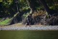 album/10092025/DSC_0169.JPG