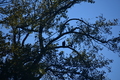 album/10092025/DSC_0175.JPG
