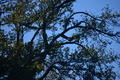 album/10092025/DSC_0184.JPG