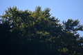 album/10092025/DSC_0189.JPG