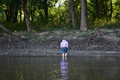 album/10092025/DSC_0192.JPG