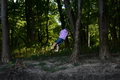 album/10092025/DSC_0206.JPG