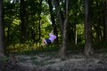album/10092025/DSC_0209.JPG