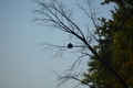 album/10092025/DSC_0256.JPG