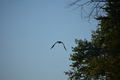 album/10092025/DSC_0265.JPG