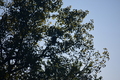 album/10092025/DSC_0271.JPG