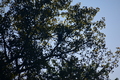 album/10092025/DSC_0279.JPG
