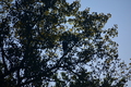 album/10092025/DSC_0288.JPG