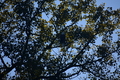 album/10092025/DSC_0298.JPG