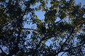 album/10092025/DSC_0319.JPG