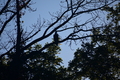album/10092025/DSC_0323.JPG