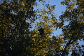 album/10092025/DSC_0342.JPG