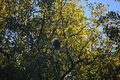album/10092025/DSC_0356.JPG
