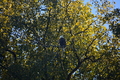 album/10092025/DSC_0359.JPG