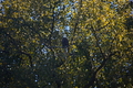 album/10092025/DSC_0377.JPG