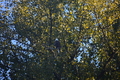 album/10092025/DSC_0384.JPG