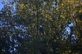 album/10092025/DSC_0389.JPG