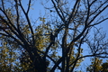 album/10092025/DSC_0412.JPG