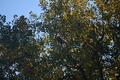 album/10092025/DSC_0419.JPG