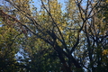 album/10092025/DSC_0447.JPG
