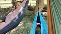 album/10092025/IMG20251009133428.jpg