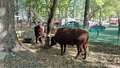 album/10112025/IMG20251011114735.jpg