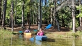 album/10122025/IMG20251012114745.jpg