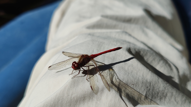 album/10122025/images/IMG20251012145841.jpg