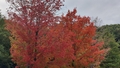 album/10132025/IMG20251013161521.jpg