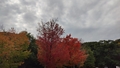 album/10132025/IMG20251013161525.jpg