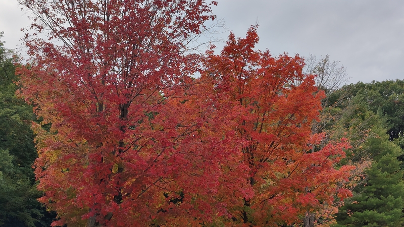 album/10132025/images/IMG20251013161521.jpg