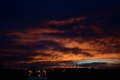 album/10172025/DSC_0184.JPG