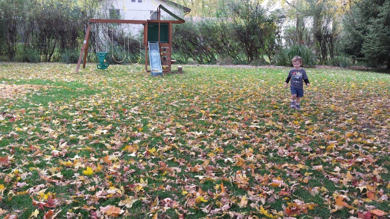 album/10992014/images/20141027_134504.jpg