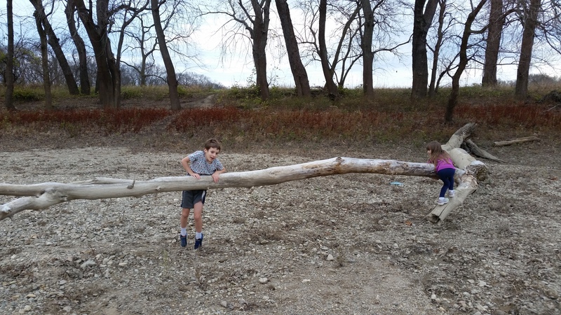 album/11202020/images/20201120_161424.jpg